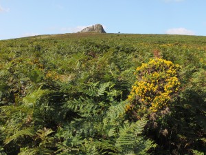 Haytor  