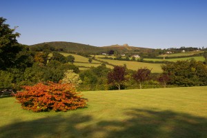 Haytor  