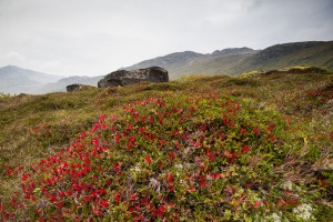 Lofoten-12