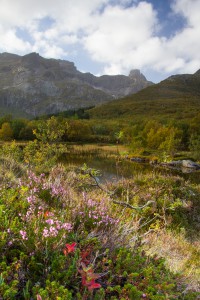 Lofoten-18