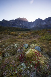 Lofoten-37  