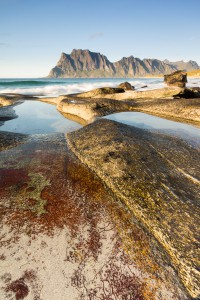 Lofoten-5