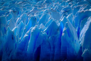 Grey glacier